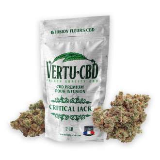 Fleur Green House Critical Jack Vertu 