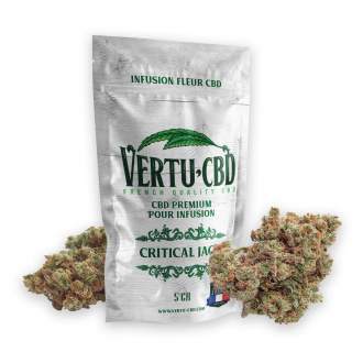 Fleur Green House Critical Jack Vertu 